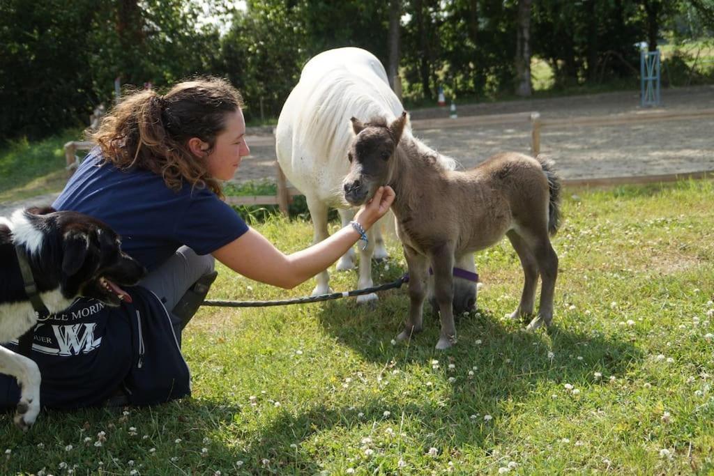 Gite Equestre Dans Centre Equestre Vers Saint Malo Plerguer Eksteriør billede